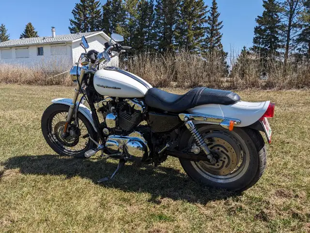 2006 Harley Davidson 1200 Sportster in Street, Cruisers & Choppers in St. Albert - Image 3
