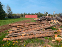 Cedar Rails 12 feet long, Cedar posts/Stakes/Pickets For Sale