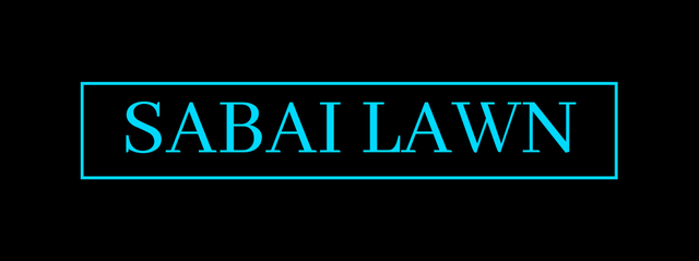 Sabai Lawn Inc. - We will come for service when others wont.