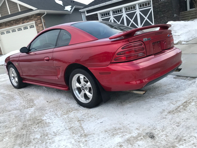 1994 Ford Mustang GT - Manual 82km only in Cars & Trucks in Edmonton - Image 4