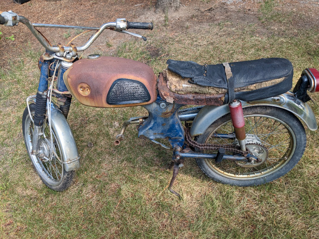 1968 Honda Scrambler in Street, Cruisers & Choppers in Strathcona County - Image 3