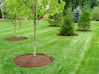 Residential Lawn Care & Lawn Maintenance Services 6472740770