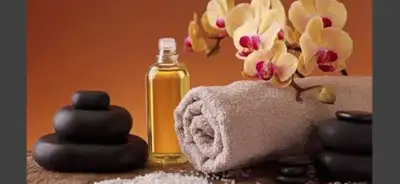 PROFESSIONAL MASSAGE , View more