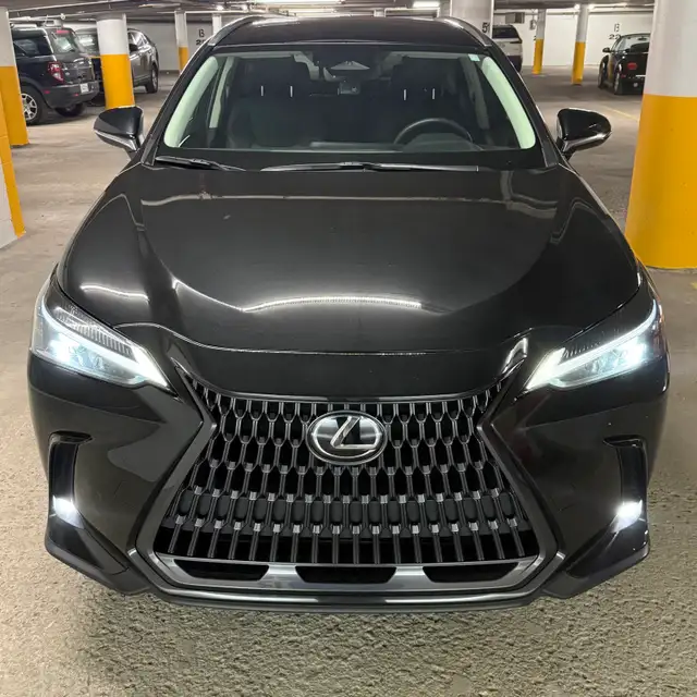 Brilliant Lexus 2023 NX 250 AWD