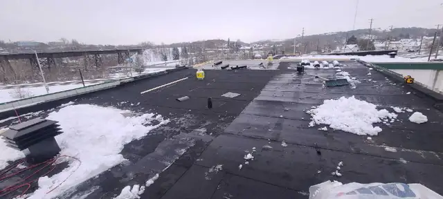 Asphalt Shingle / Flat Roofing Replacement64959960723330123