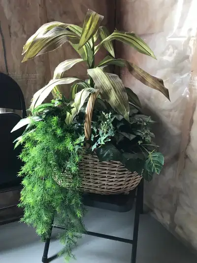 Plants indoor  artifical, View more