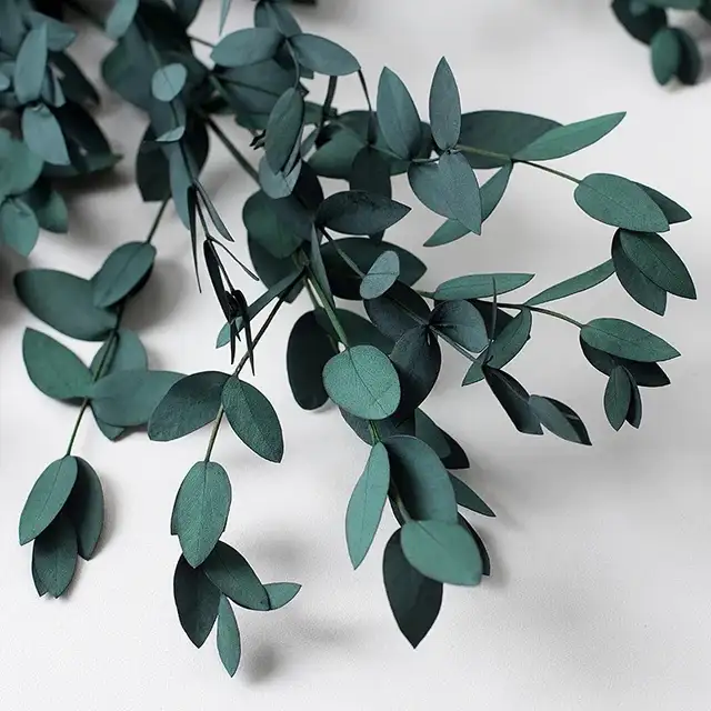 Brand new real Eucalyptus leaves DIY Home decor63373409255169121