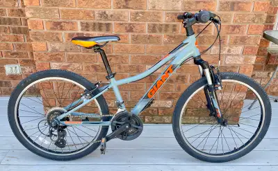 giant xtc jr 24” kids bike, View more