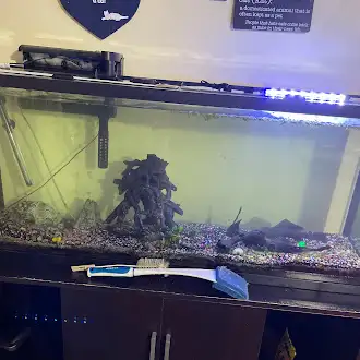 Fish Tank (cash only), View more
