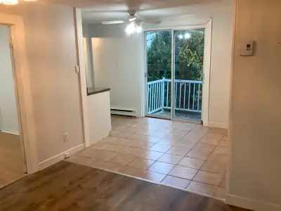 3 1/2 près du Cégep Limoilou