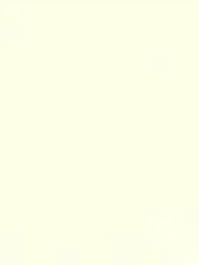 ISO a older male cat, View more