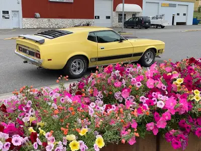 Mach One tribute car. Partially restored in 2021, rebuilt motor, wiring , upholstery, paint and much...