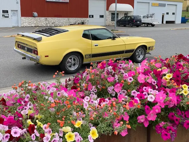 LAST CHANCE 1973 Ford Mach One Mustang /351 Cleveland in Classic Cars in Terrace - Image 2