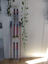 Ski De Fond Avec Bâtons