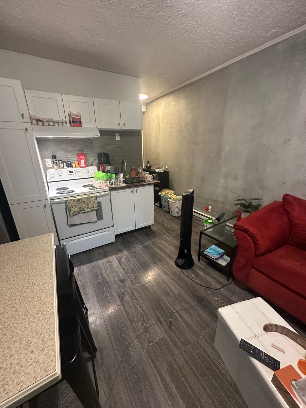 logement — photo 3