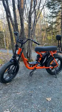 AddMotors Electric bike for sale