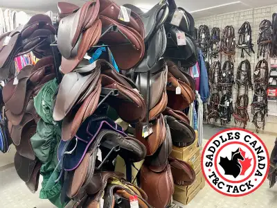 New and used English and Western Saddles, View more