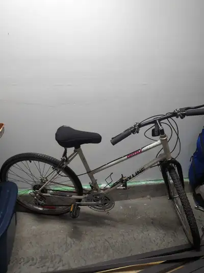 Ladies bike, View more