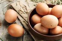 Free Range Organically Raised Chicken Eggs