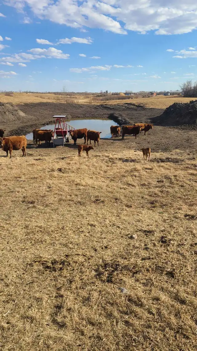 Portable water buggy in Other in Red Deer - Image 3