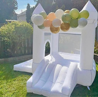 Bounce castle for rent 