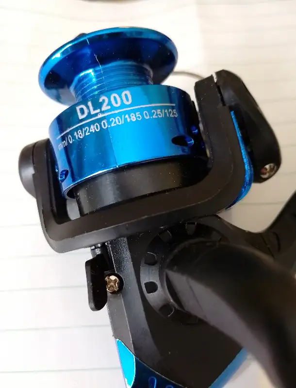 Fishing reel DL200