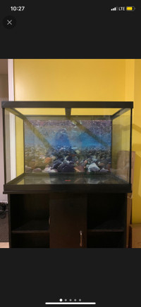 Fish tank and stand 