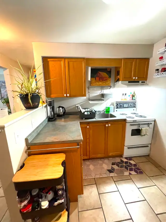 1 Bedroom plus den in quiet small building close to Mcmaster | Long ...