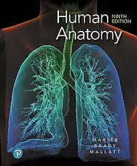 Human Anatomy 9th Edition 9780135168059