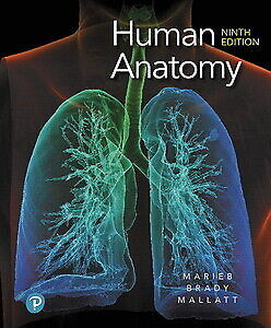 Human Anatomy 9th Edition 9780135168059 in Textbooks in Mississauga / Peel Region