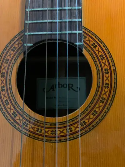 Arbor Classical Guitar, View more