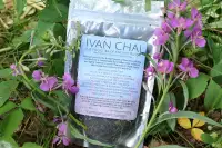 Traditional Wildcrafted Russian Ivan Chai Tea