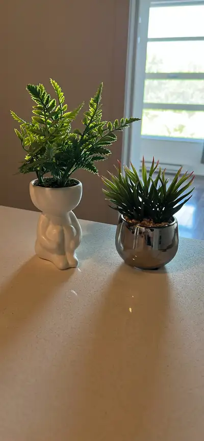 Artificial Potted Plants Set, View more