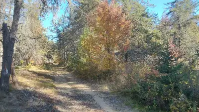 LARGE LOT 90 MIN FROM OTTAWA NEW PRICE!!!!!!!!!!!!! 20 MIN FROM GRACEFIELD Metro PHARMACY Co-op PARA...