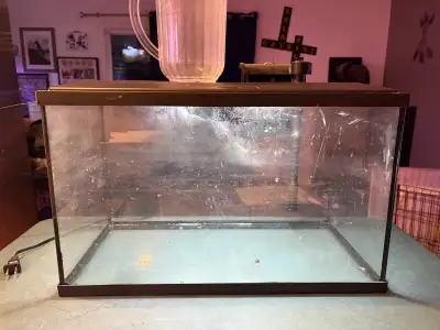 10 Gallon Tank, View more