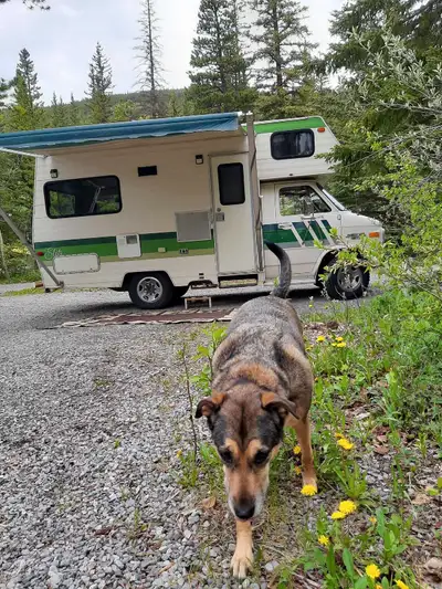 I have a little cabin on wheels that has been fully renovated. Everything runs great inside and out....