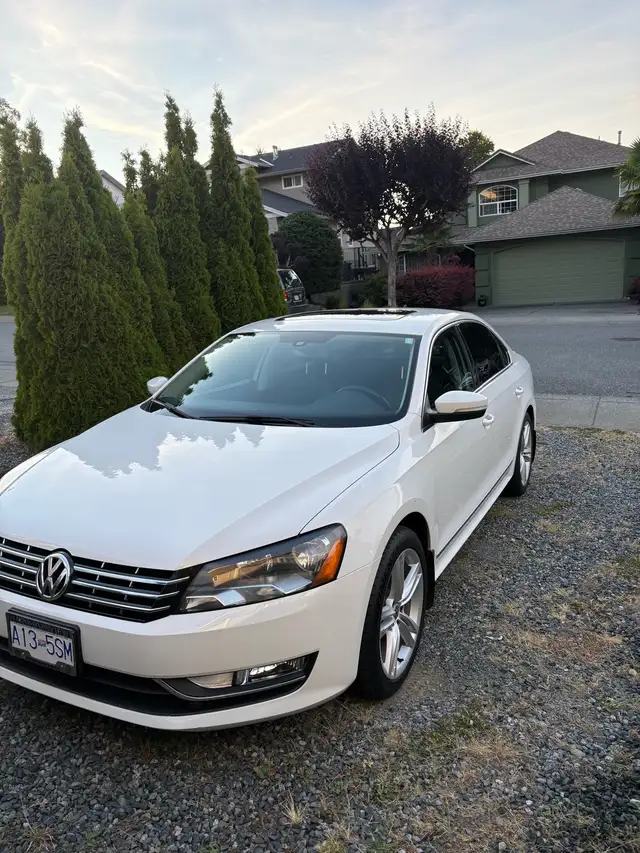 2014 Passat TDI507644890286008321