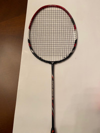 Badminton Racquets:  Victor and Yonex