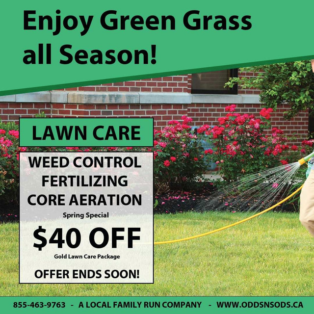 Grass Cutting & Lawn Care in Lawn, Tree Maintenance & Eavestrough in Oshawa / Durham Region - Image 2