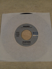 Vinyl Record 45 RPM Garage,Psych FEATHER Friends/Salli NM