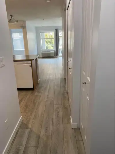 I'm looking for a roommate for a beautiful newly renovated two-bedroom, two-bath apartment in the Ve...