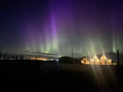 Looking for Volunteer jobs , View more