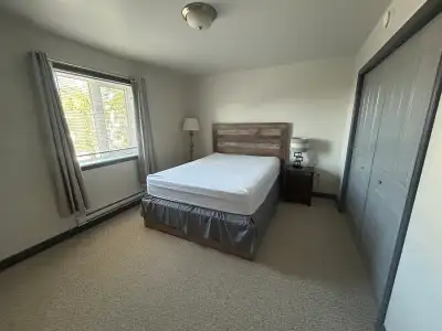 A furnished, roomy bedroom is available now for rent in a 2-bedroom, 1.5-bathroom townhouse in Hillc...