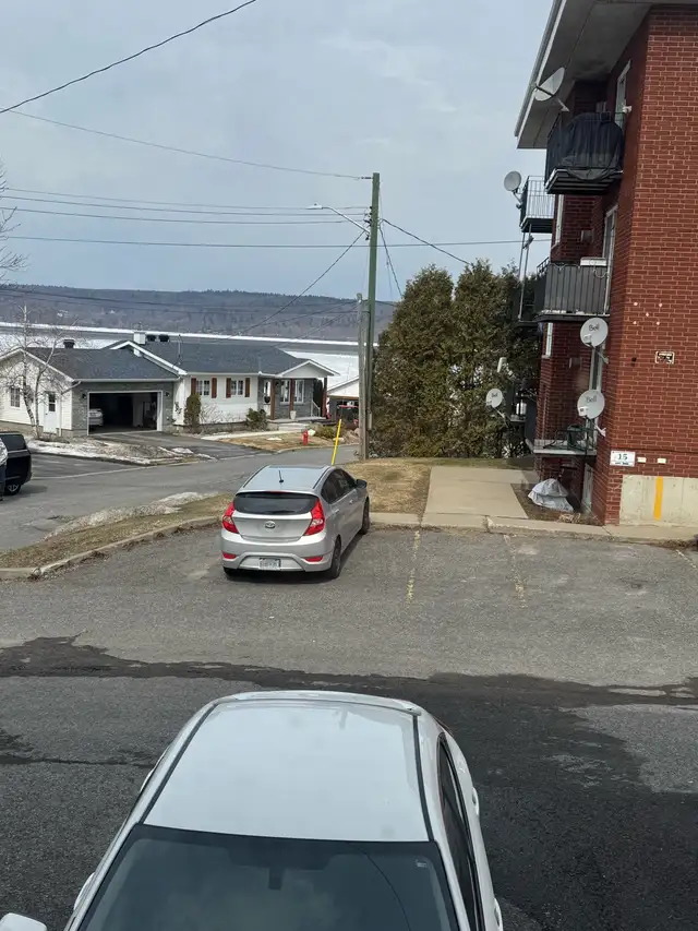 Apartments for rent