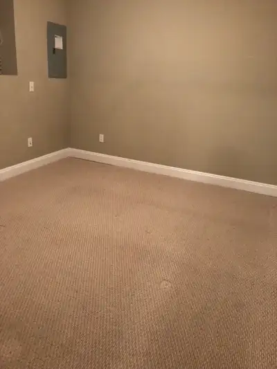 2 basement for rent