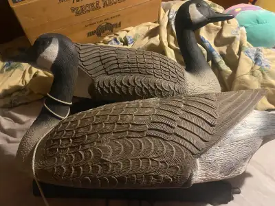 goose and duck decoys, View more