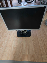 19" flatron monitor 