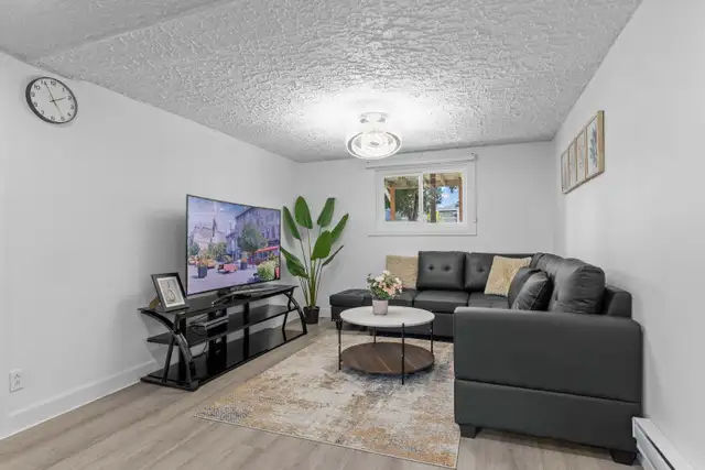 CLEAN NEW RENOVATED 3 1/2