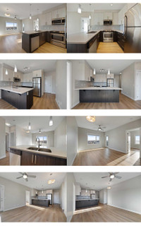 Luxury Condo in NW on Rent 2 Bed, 1 Den and 2 bath 