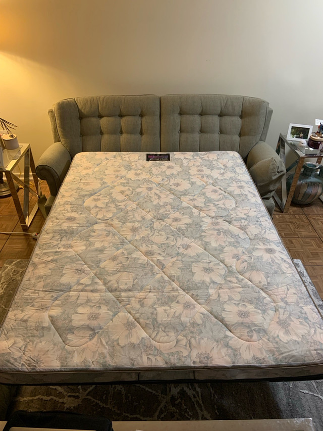 Pull-out Couch in Couches & Futons in Ottawa - Image 2